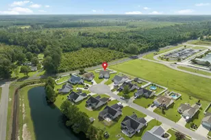 252 Hickory Springs Ct, Conway, SC 29527 - Photo 35