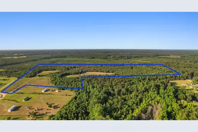 77 Acres - Tbd Bert Hanna Rd., Johnsonville, SC 29555 - Photo 25