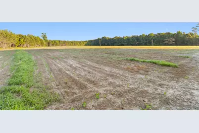 77 Acres - Tbd Bert Hanna Rd., Johnsonville, SC 29555 - Photo 9