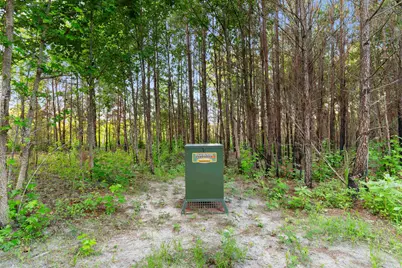 77 Acres - Tbd Bert Hanna Rd., Johnsonville, SC 29555 - Photo 13