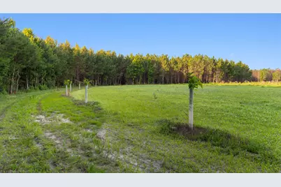 77 Acres - Tbd Bert Hanna Rd., Johnsonville, SC 29555 - Photo 11
