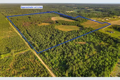 77 Acres - Tbd Bert Hanna Rd., Johnsonville, SC 29555 - Photo 27