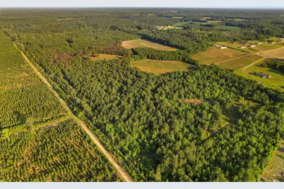 77 Acres - Tbd Bert Hanna Rd., Johnsonville, SC 29555 - Photo 21