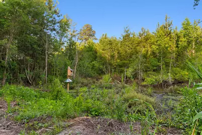 77 Acres - Tbd Bert Hanna Rd., Johnsonville, SC 29555 - Photo 15