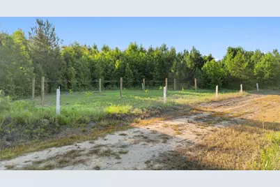 77 Acres - Tbd Bert Hanna Rd., Johnsonville, SC 29555 - Photo 23
