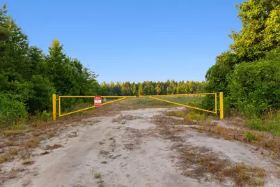 77 Acres - Tbd Bert Hanna Rd., Johnsonville, SC 29555 - Photo 3