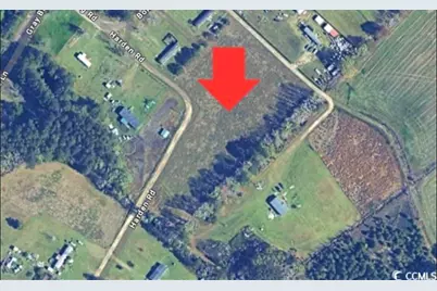 Tbd Harden Rd., Pamplico, SC 29583 - Photo 1