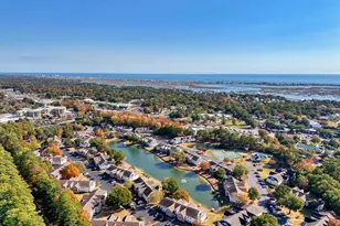 4277 Santolina Way, Murrells Inlet, SC 29576 - Photo 49