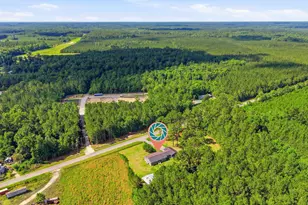 188 Aimwell Rd, Andrews, SC 29510 - Photo 51
