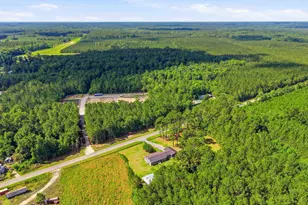 188 Aimwell Rd, Andrews, SC 29510 - Photo 49