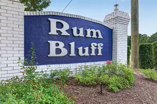 222 Rum Bluff Blvd, Longs, SC 29568 - Photo 41