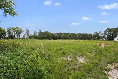 113 Rena Ln, Conway, SC 29527 - Photo 5