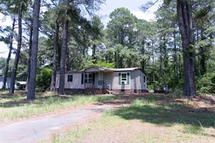 1175 Pond View Dr, Manning, SC 29102 - Photo 1