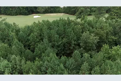 442 Pembroke Blvd., Johnsonville, SC 29555 - Photo 1