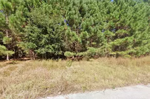 442 Pembroke Blvd, Johnsonville, SC 29555 - Photo 1