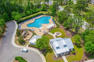 429 Black Cherry Way, Conway, SC 29526 - Photo 45