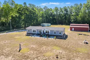 815 Sheila Dr, Johnsonville, SC 29555 - Photo 3