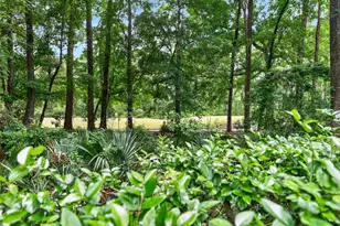41 Redwing Ct, Pawleys Island, SC 29585 - Photo 5