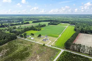 4505 Hwy 308, Galivants Ferry, SC 29544 - Photo 45