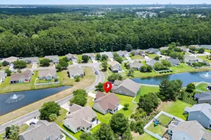 732 Gazania Ln, Myrtle Beach, SC 29579 - Photo 63