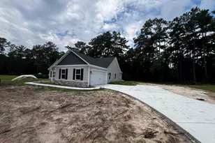 5320 Pauley Swamp Rd, Conway, SC 29527 - Photo 3
