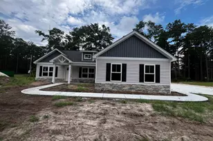 5320 Pauley Swamp Rd, Conway, SC 29527 - Photo 1