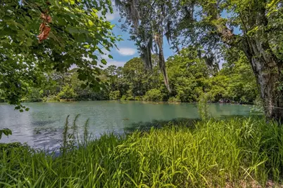 58 Beaver Pond Loop, Pawleys Island, SC 29585 - Photo 3