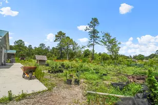 2905 Hugo Rd, Conway, SC 29527 - Photo 21