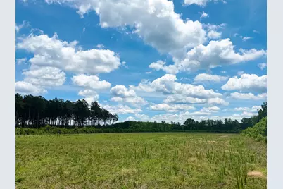 Tbd Hwy 9, Marion, SC 29571 - Photo 3