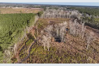 Tbd Hwy 9, Marion, SC 29571 - Photo 5