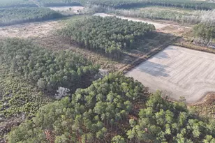 Tbd Hwy 9, Marion, SC 29571 - Photo 1