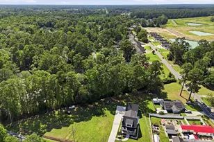 2487 Long Ave, Conway, SC 29526 - Photo 39