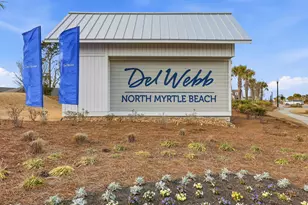 1206 Coneflower Wy, North Myrtle Beach, SC 29582 - Photo 57