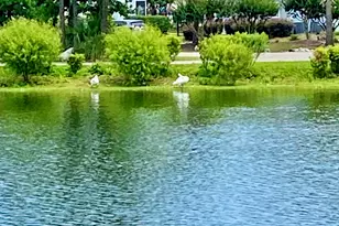 206 Double Eagle Dr, Surfside Beach, SC 29575 - Photo 43