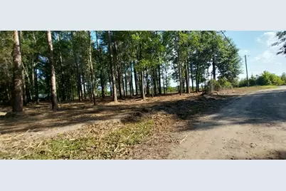5540 York St., Marion, SC 29571 - Photo 3