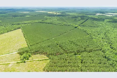 Tbd Ten Acre Rd., Andrews, SC 29510 - Photo 9