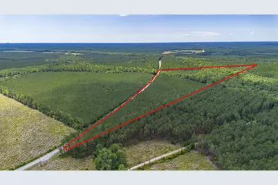 Tbd Ten Acre Rd., Andrews, SC 29510 - Photo 3