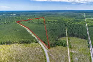 Tbd Ten Acre Rd, Andrews, SC 29510 - Photo 1