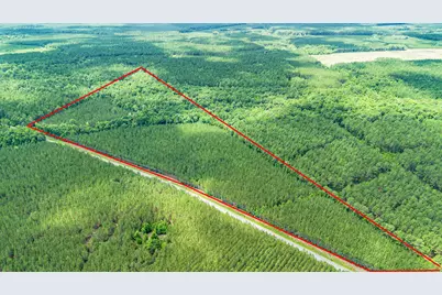 Tbd Ten Acre Rd., Andrews, SC 29510 - Photo 7
