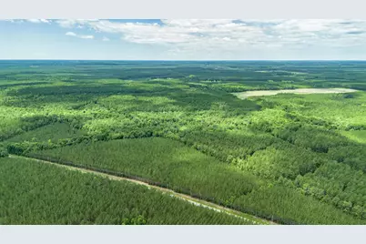 Tbd Ten Acre Rd., Andrews, SC 29510 - Photo 5