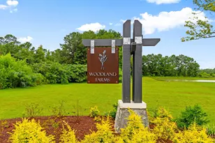 628 Woodland Farms Cir, Aynor, SC 29511 - Photo 59