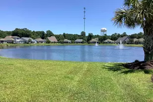 441 Hyacinth Loop, Murrells Inlet, SC 29576 - Photo 43