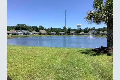441 Hyacinth Loop, Murrells Inlet, SC 29576 - Photo 43