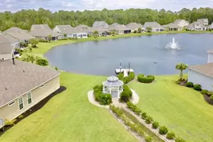 441 Hyacinth Loop, Murrells Inlet, SC 29576 - Photo 51