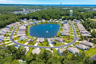 441 Hyacinth Loop, Murrells Inlet, SC 29576 - Photo 63