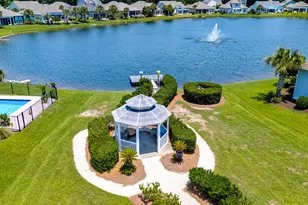 441 Hyacinth Loop, Murrells Inlet, SC 29576 - Photo 49