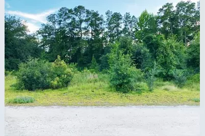 Lot 1 Ivanhoe Pl., Dillon, SC 29536 - Photo 1
