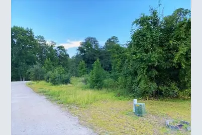 Lot 1 Ivanhoe Pl., Dillon, SC 29536 - Photo 3