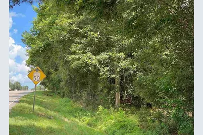 Tbd Highway 378, Conway, SC 29527 - Photo 5