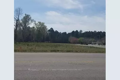 Tbd Highway 378, Conway, SC 29527 - Photo 3